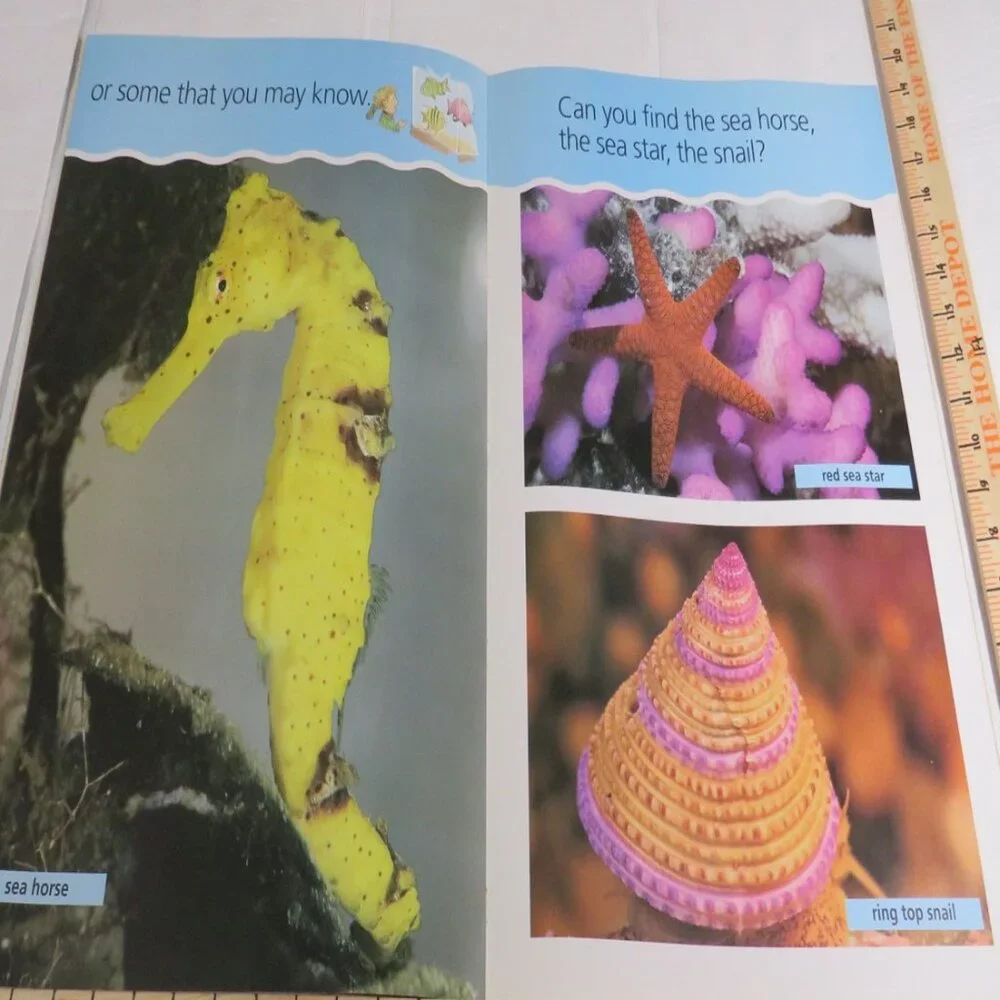 Under the Sea  BIG BOOK (almost 2 feet tall) with teacher pages CLASSROOM SIZE